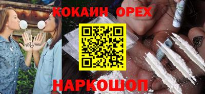 крисы Кулебаки