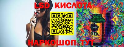 крисы Кулебаки