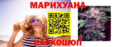 крисы Кулебаки