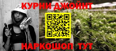 крисы Кулебаки
