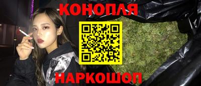 крисы Кулебаки