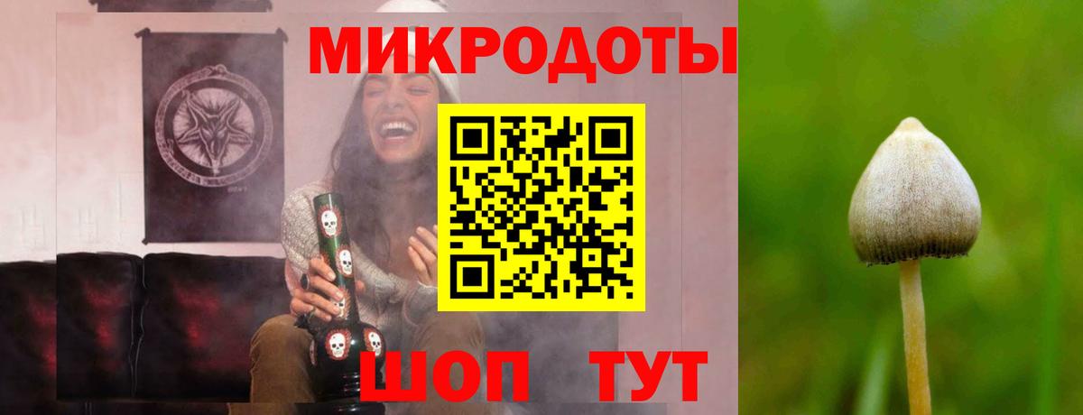 Галлюциногенные грибы ЛСД Арсеньев